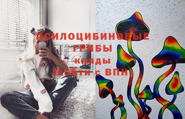 бутират Арсеньев