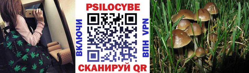 omg сайт  Армянск  Галлюциногенные грибы Magic Shrooms 